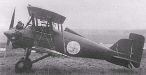 Warbird Picture - Gloster Gamecock operated by the Finnish Air Force