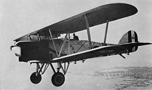 Warbird Picture - A Hawker Horsley of No. 100 Squadron, RAF