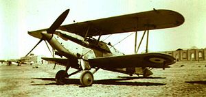 Warbird Picture - Hawker Nimrod at El Amriya, 1936