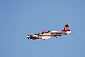 Warbird Picture - KT-1 during a demonstration