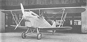 Warbird Picture - Ki-10 Model 1