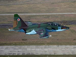 Warbird Picture - A Georgian Su-25UB