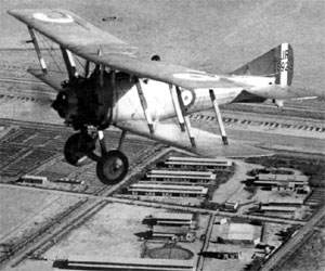 Warbird Picture - Nieuport Nighthawk