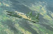 Jungle camouflage F-102As of the 509th FIS over Vietnam, November 1966.