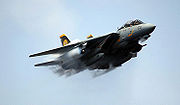 Airplane Pictures - Grumman F-14 Tomcat