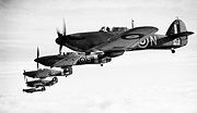 Warbird picture - Sea Hurricane Mk IB in formation, December 1941