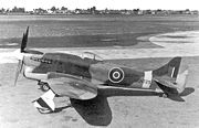 Warbird picture - The Tempest V JN729 [1] Small blisters covering the spar to spar boom securing bolts can be seen on the wing root fairing. The longer barrels of the Hispano II cannon can also be seen.