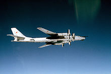 Airplane Picture - Tu-95RTs