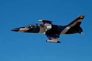 Warbird Picture - L-39C, Jet Class, Reno National Championship Air Races #58