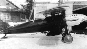 Polikarpov DI-1