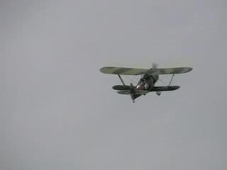 Airplane Picture - Polikarpov I-15bis in flight