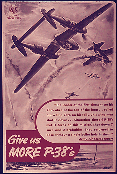 P-38 Lightning Poster - Warbird Poster - Airplane Poster