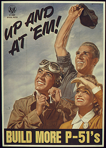 P-51 Mustang Poster - Warbird Poster - Airplane Poster