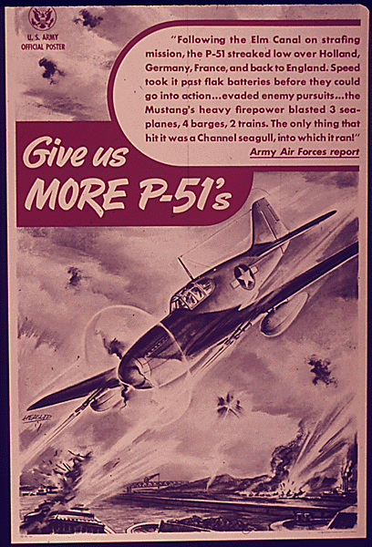 P-51 Mustang Poster - Warbird Poster - Airplane Poster