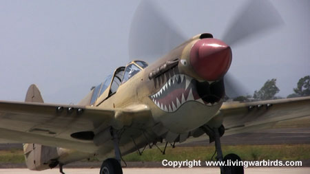 Airplane Pictures - Curtiss P-40N Warhawk, Living Warbirds